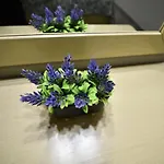 Vayia 아파트 *